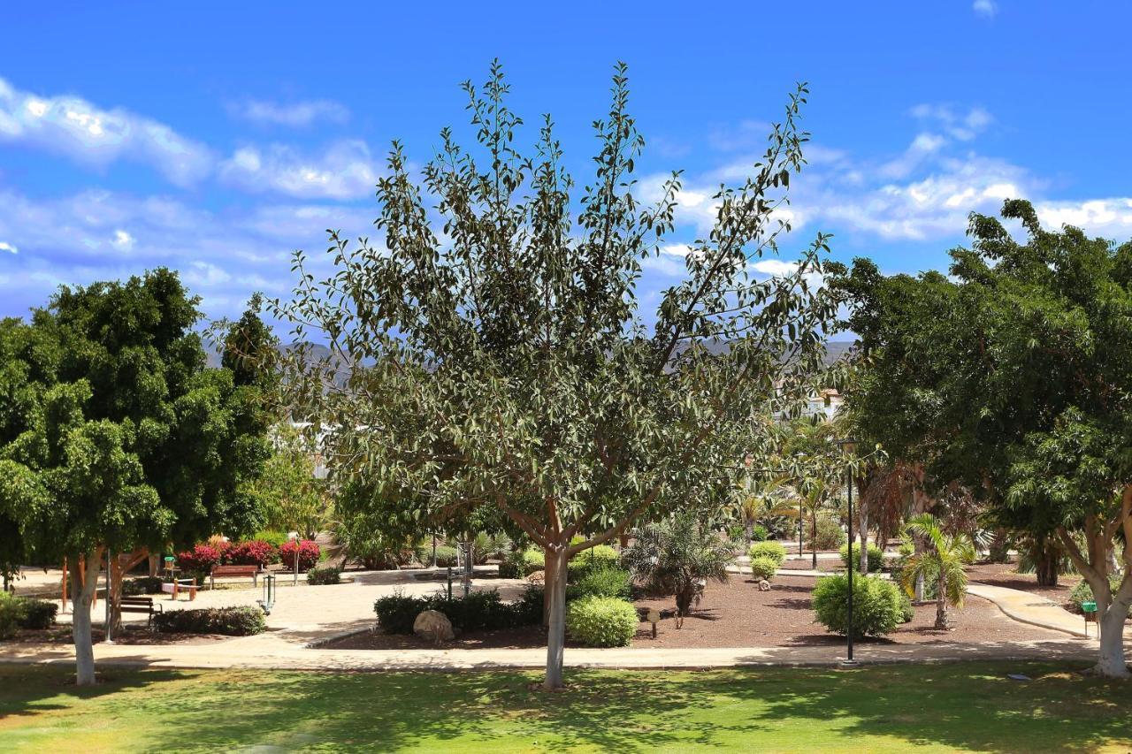 Garden House Sun&Sea Daire Maspalomas  Dış mekan fotoğraf